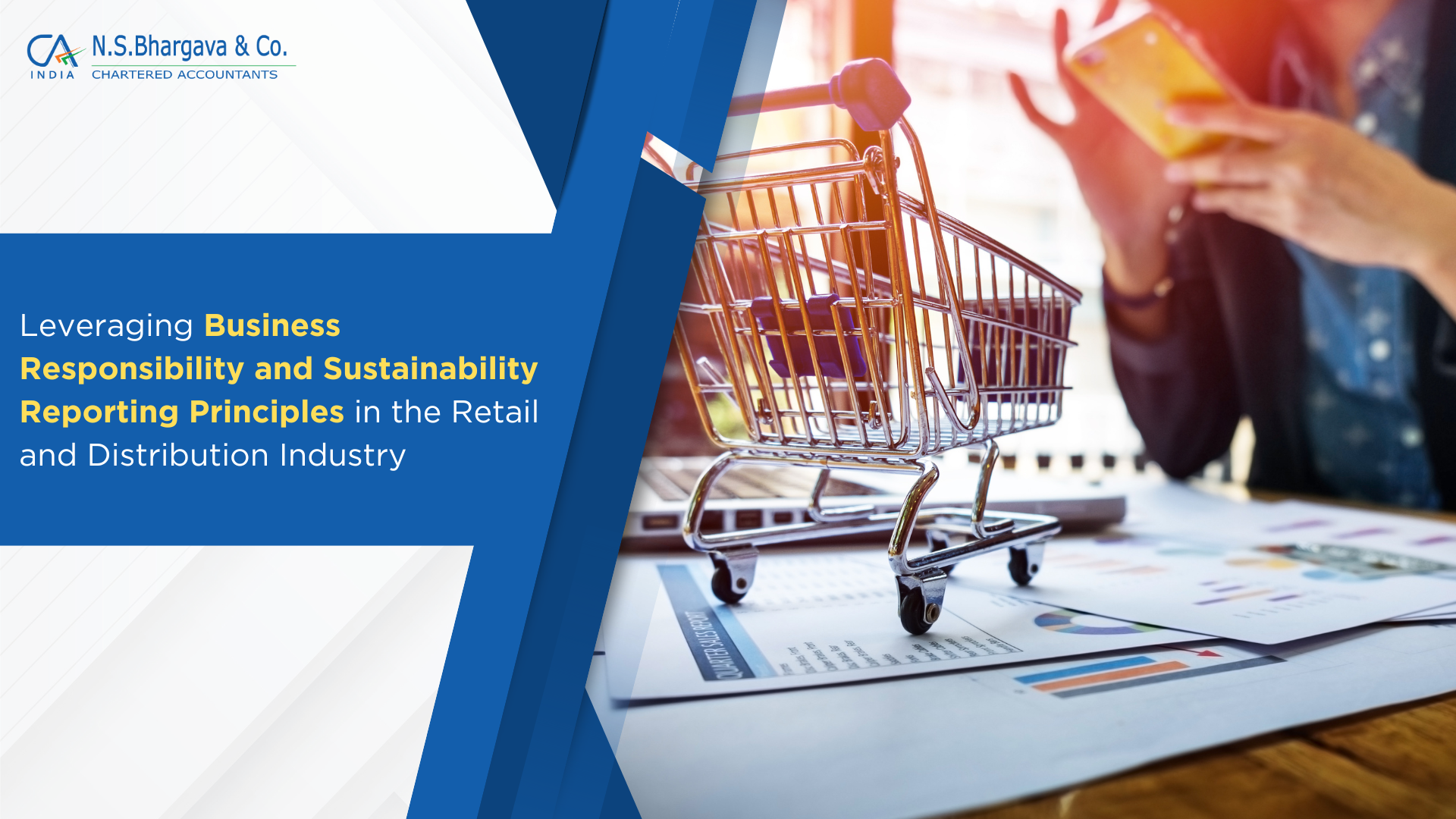 Leveraging Business Responsibility and Sustainability Reporting Principles in the Retail and Distribution Industry