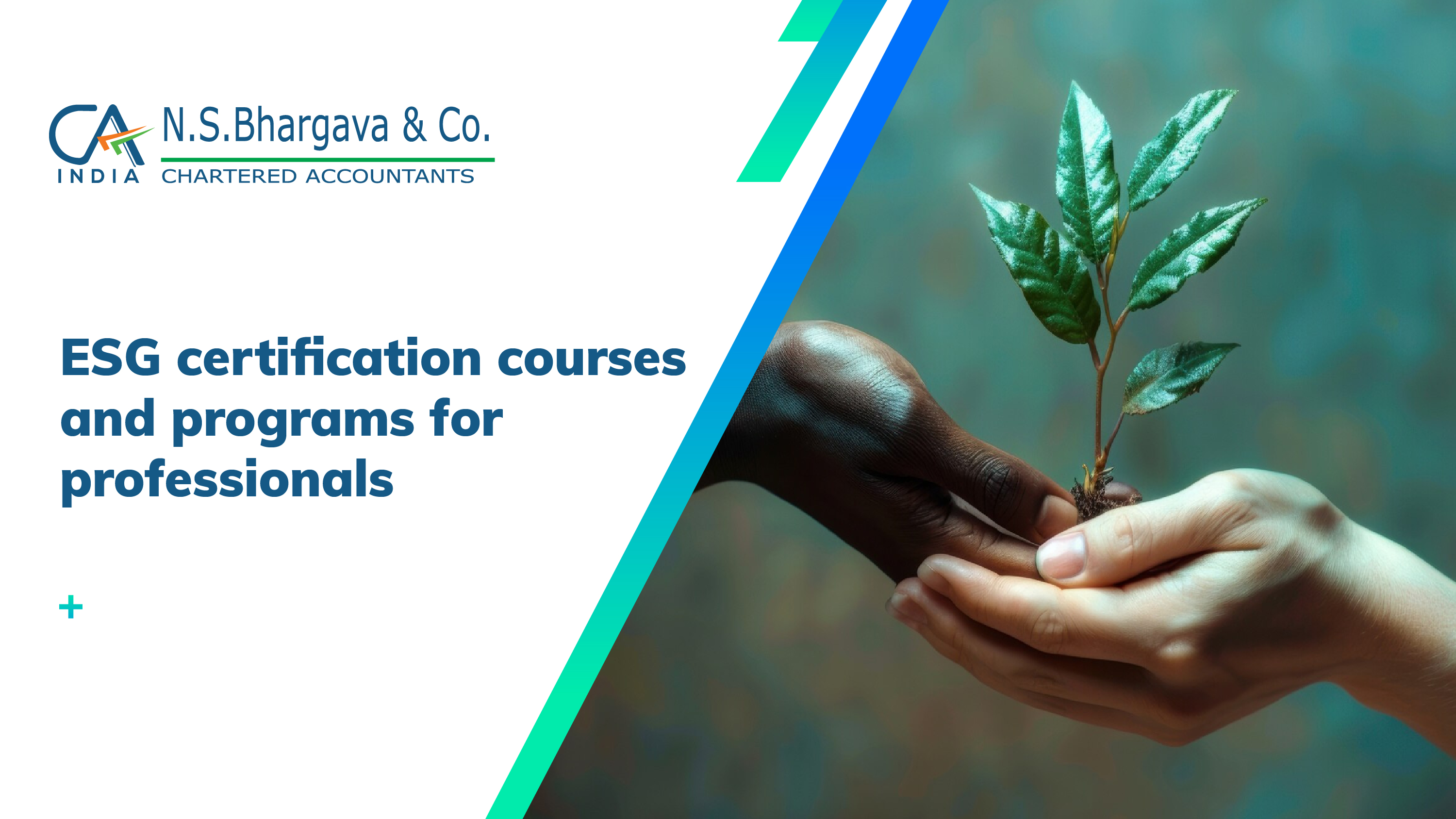 ESG certification courses and programs for professionals