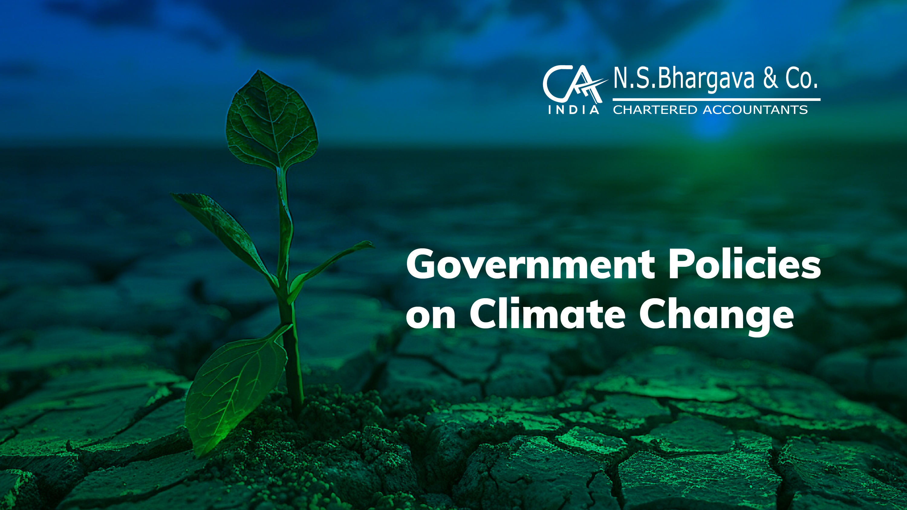 Government Policies on Climate Change